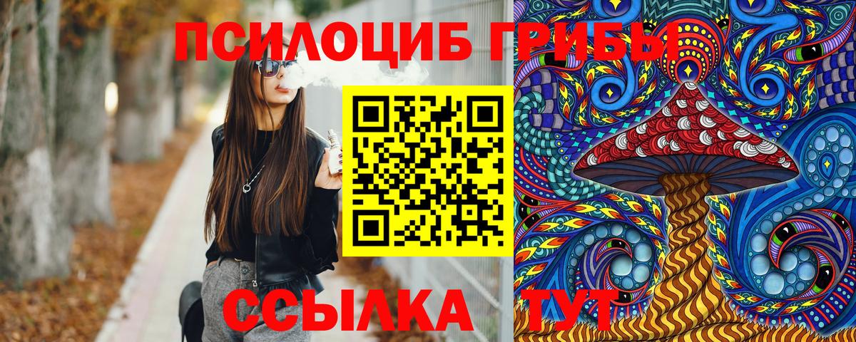 Гурьевск  Псилоцибиновые грибы ЛСД  Вход с VPN 